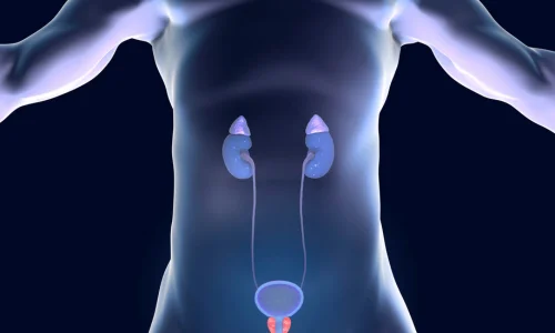 Genitourinary Malignancies